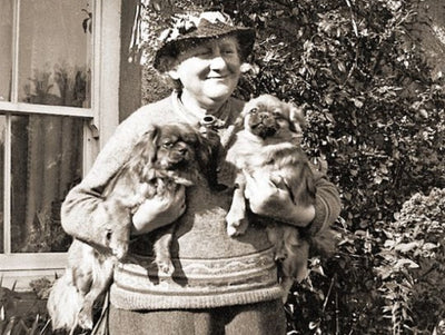 The Inspiration of Beatrix Potter in the 21st Century