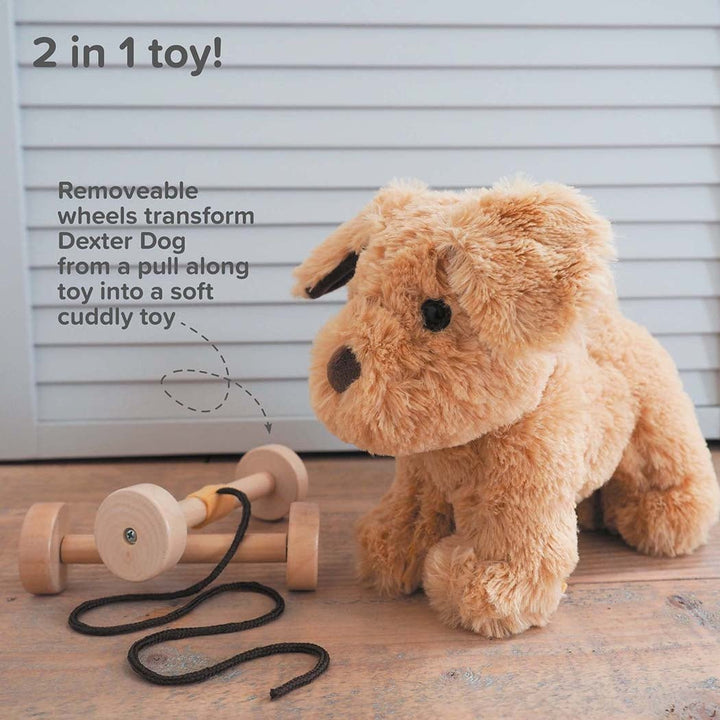 Dexter the Labrador Dog Pull Along - Chic Petit