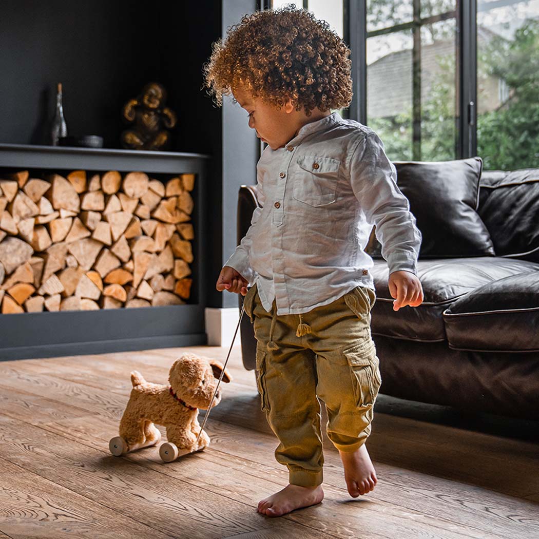 Dexter the Labrador Dog Pull Along - Chic Petit