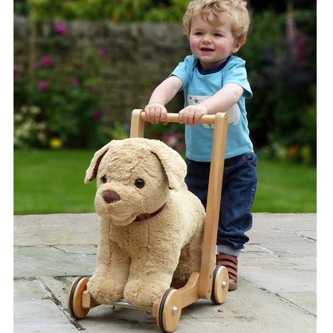Dexter the Labrador Dog Push Along - Chic Petit