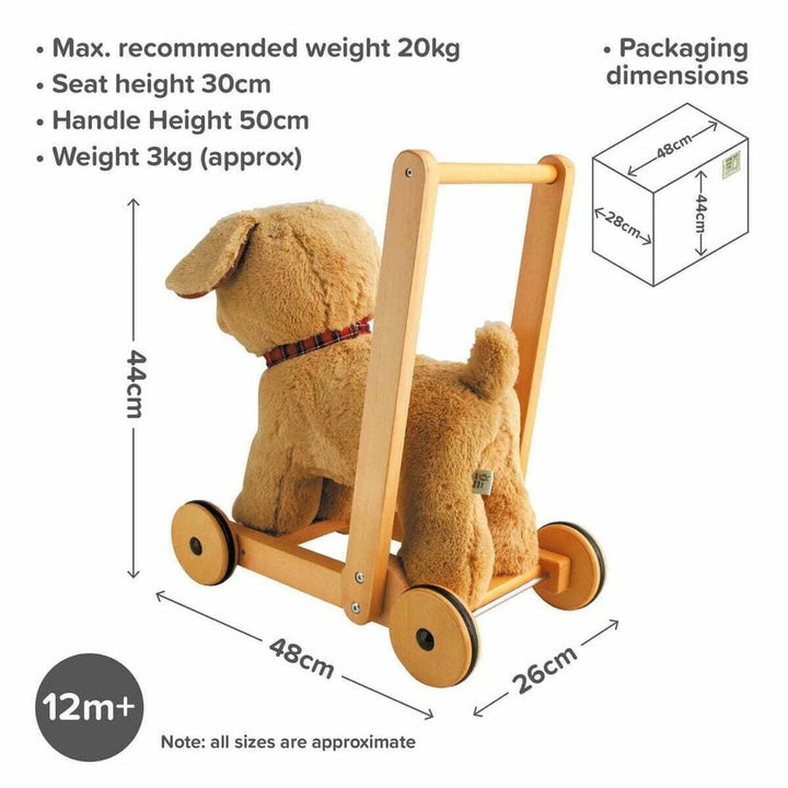 Dexter the Labrador Dog Push Along - Chic Petit