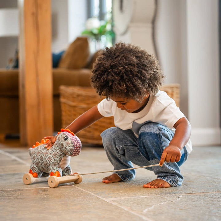 Digley Dinosaur Pull Along Toy - Chic Petit