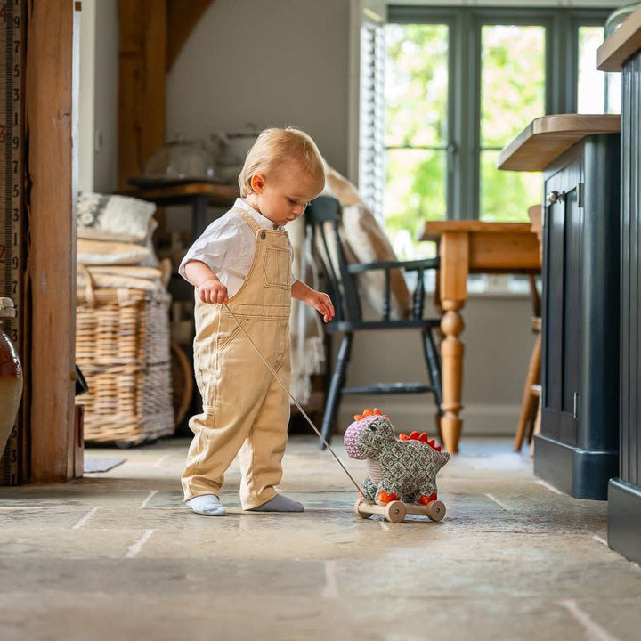 Digley Dinosaur Pull Along Toy - Chic Petit