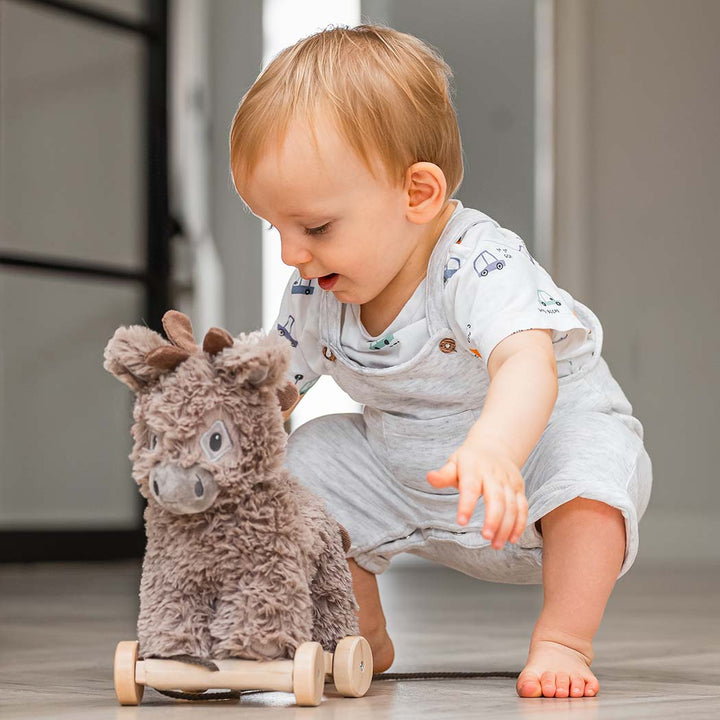 Norbert the Donkey Pull Along Toy - Chic Petit