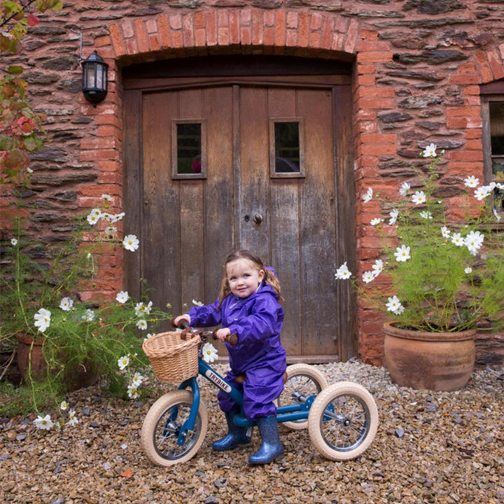 Boys and Girls Steel Trybike Balance Tryke to Bike - Chic Petit