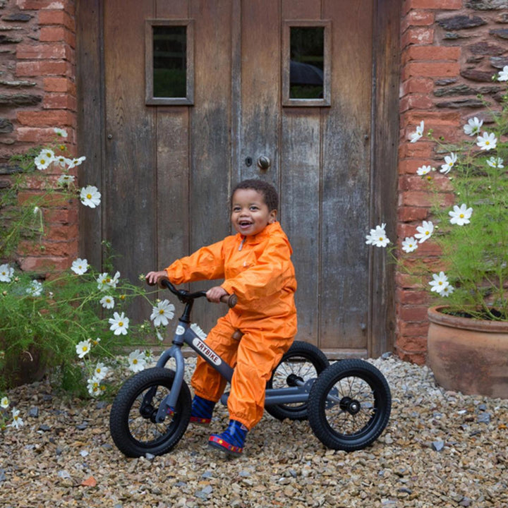 Boys and Girls Steel Trybike Balance Tryke to Bike - Chic Petit