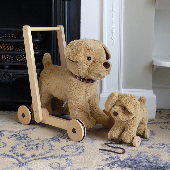 Dexter Pull Along Dog - Chic Petit