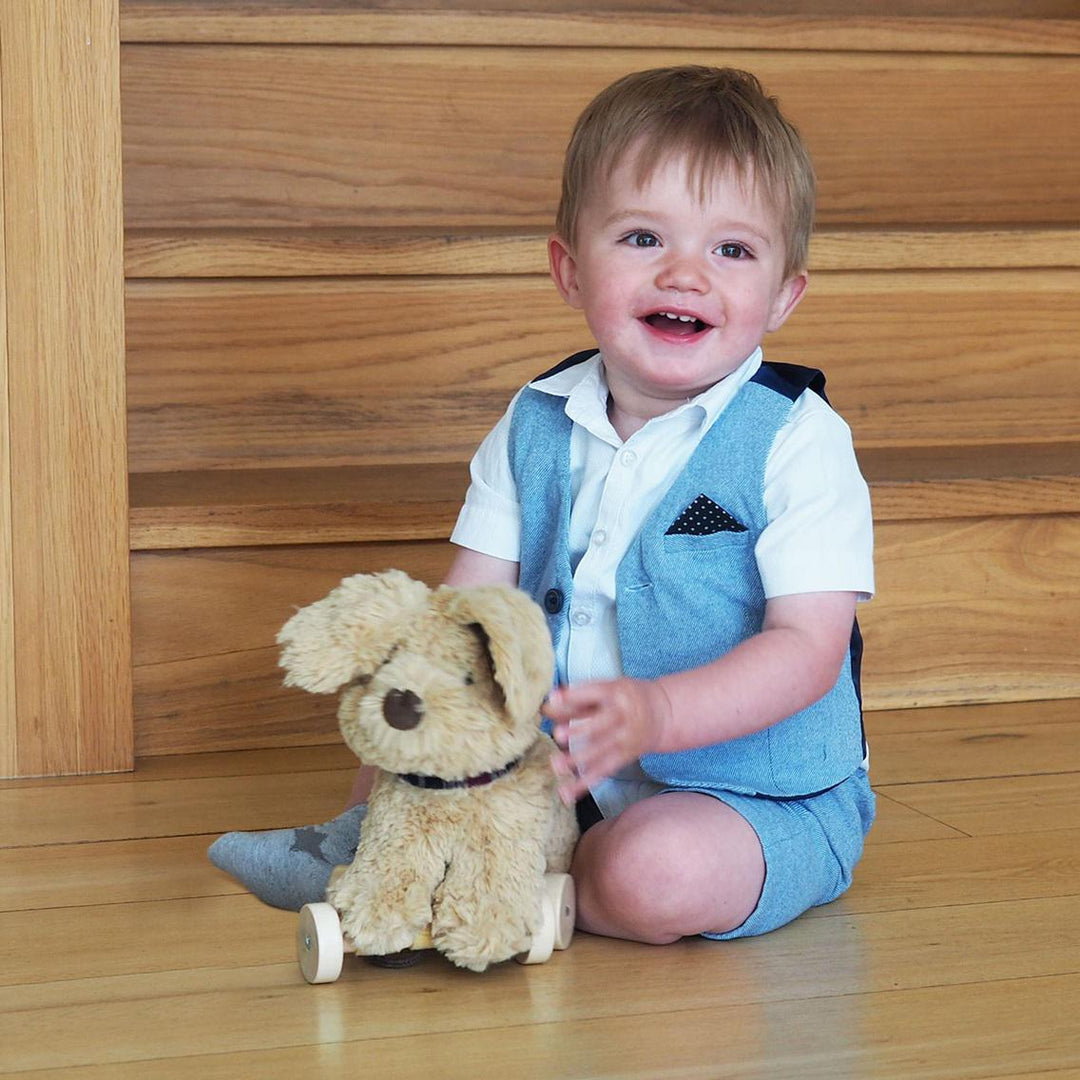 Soft plush Labrador puppy toy with golden fur and button nose