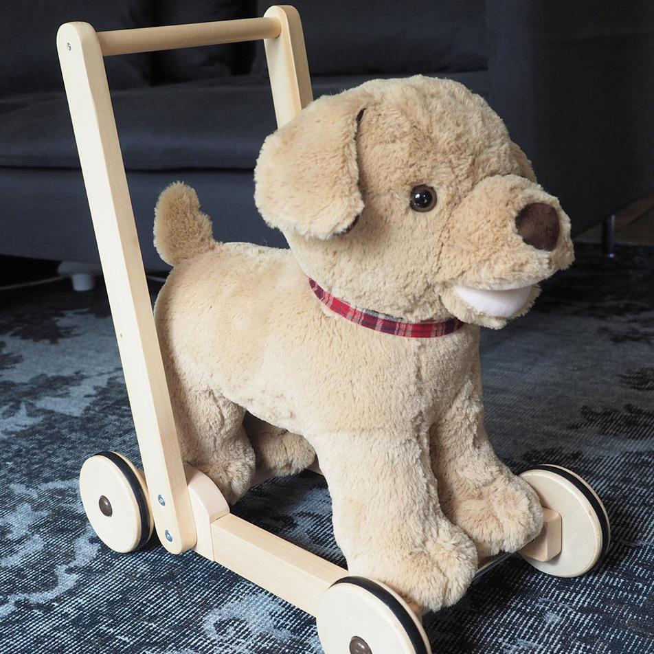 Dexter Push Along - Chic Petit