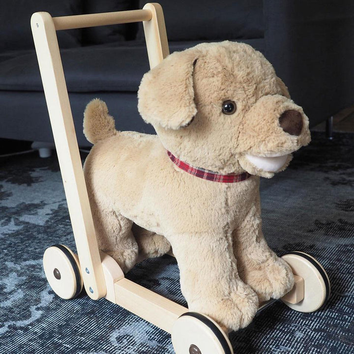 Dexter Push Along - Chic Petit