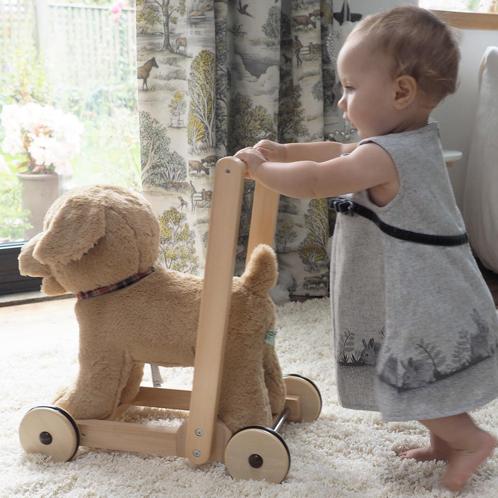 Dexter Push Along - Chic Petit