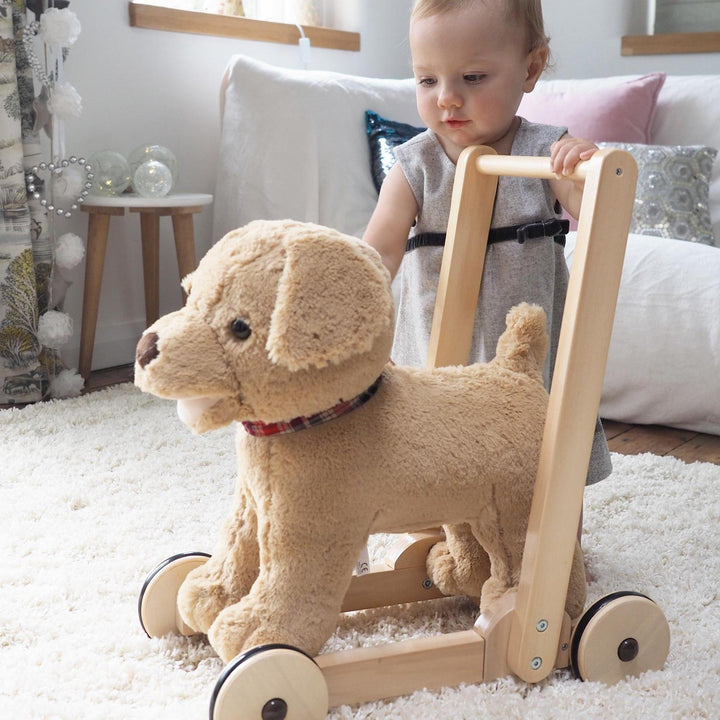 Dexter Push Along - Chic Petit