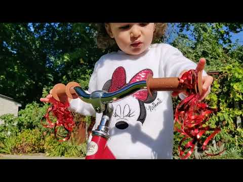 Boys and Girls Steel Trybike Balance Tryke to Bike